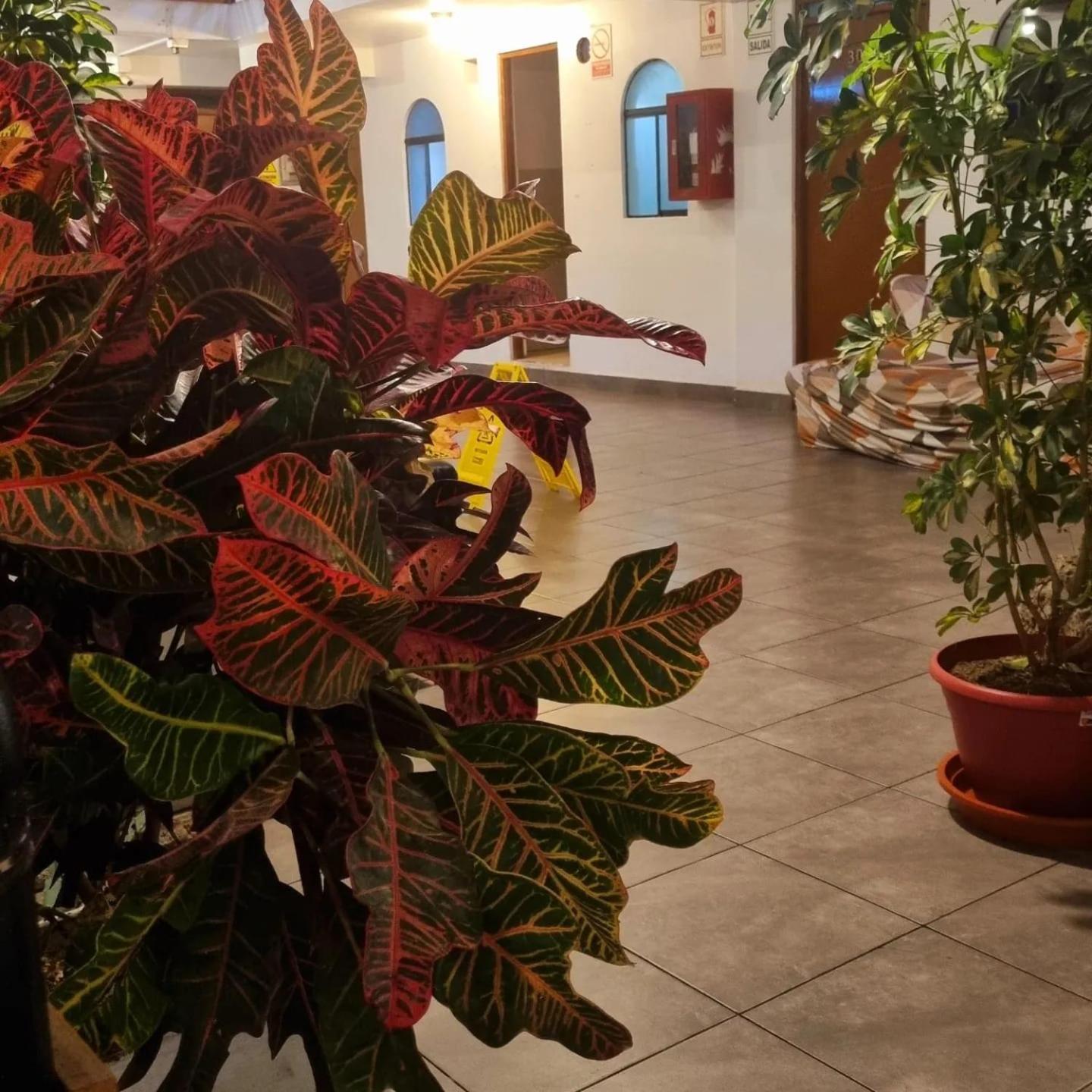 Hostel Thay83 Miraflores ลิมา ภายนอก รูปภาพ